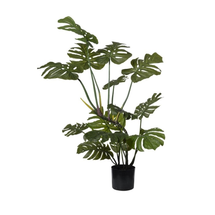 PIANTA MONSTERA IN VASO CM113